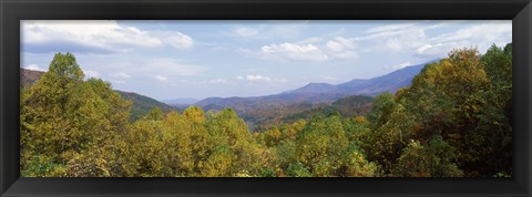 Framed View from River Road, Great Smoky Mountains National Park, North Carolina, Tennessee, USA Print