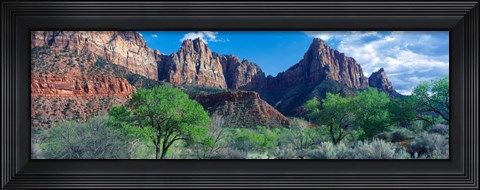 Framed Cottonwood trees and The Watchman, Zion National Park, Utah, USA Print