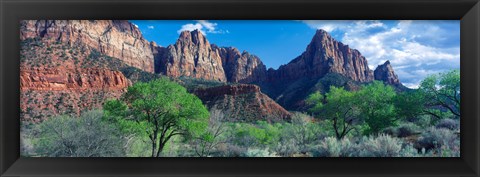 Framed Cottonwood trees and The Watchman, Zion National Park, Utah, USA Print