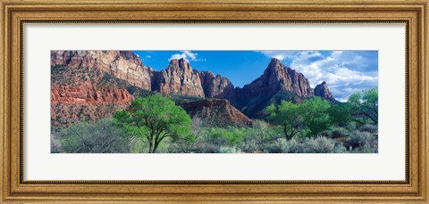 Framed Cottonwood trees and The Watchman, Zion National Park, Utah, USA Print