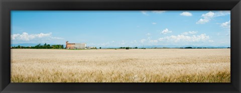 Framed Wheat field with grain elevator near D8, Plateau de Valensole, Alpes-de-Haute-Provence, Provence-Alpes-Cote d&#39;Azur, France Print