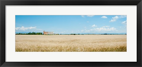 Framed Wheat field with grain elevator near D8, Plateau de Valensole, Alpes-de-Haute-Provence, Provence-Alpes-Cote d&#39;Azur, France Print