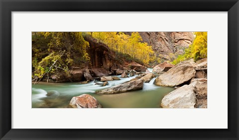 Framed Cottonwood trees and rocks along Virgin River, Zion National Park, Springdale, Utah, USA Print