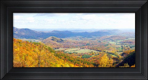 Framed Trees on a hill, North Carolina, USA Print