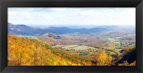 Framed Trees on a hill, North Carolina, USA Print