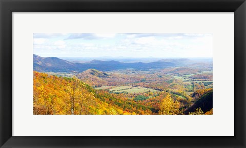 Framed Trees on a hill, North Carolina, USA Print