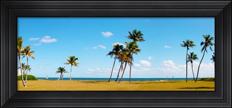 Framed Palm trees on the beach, Lauderdale, Florida, USA Print