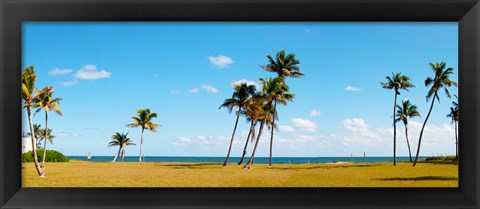 Framed Palm trees on the beach, Lauderdale, Florida, USA Print