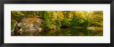 Framed Colorful trees and rocks along the Musquash River, Muskoka, Ontario, Canada Print