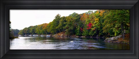 Framed Trees at the Riverside, Musquash River, Muskoka, Ontario, Canada Print