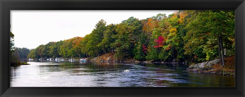 Framed Trees at the Riverside, Musquash River, Muskoka, Ontario, Canada Print