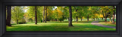 Framed Trees in autumn, Blue Lake Park, Portland, Multnomah County, Oregon, USA Print