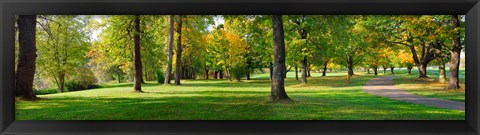 Framed Trees in autumn, Blue Lake Park, Portland, Multnomah County, Oregon, USA Print