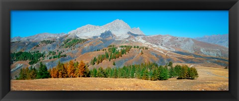 Framed Champs pass in autumn, French Riviera, Provence-Alpes-Cote d&#39;Azur, France Print