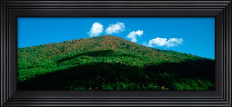 Framed Trees in autumn, Provence-Alpes-Cote d&#39;Azur, France Print