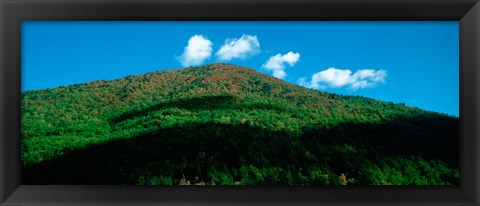 Framed Trees in autumn, Provence-Alpes-Cote d&#39;Azur, France Print