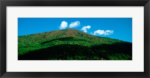 Framed Trees in autumn, Provence-Alpes-Cote d&#39;Azur, France Print