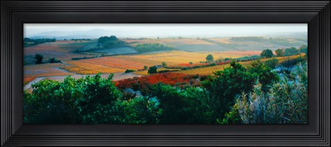 Framed Autumn Colors, Provence-Alpes-Cote d&#39;Azur, France Print