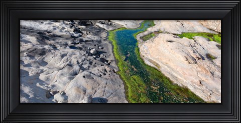 Framed Point Lobos State Reserve, Carmel, Monterey County, California Print