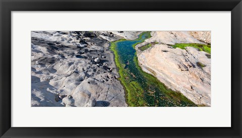 Framed Point Lobos State Reserve, Carmel, Monterey County, California Print