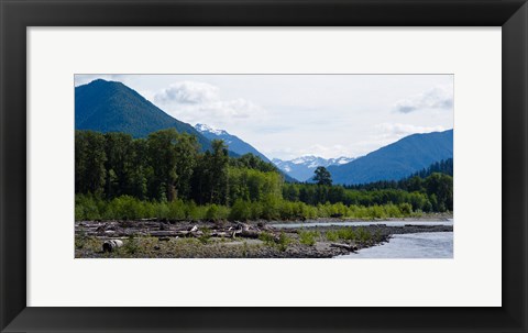 Framed Trees in front of mountains in Quinault Rainforest, Olympic National Park, Washington State, USA Print