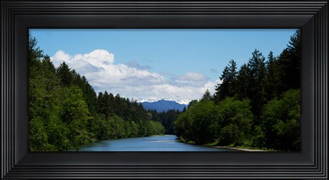 Framed River flowing through a forest, Queets Rainforest, Olympic National Park, Washington State, USA Print