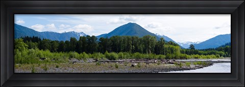 Framed Quinault Rainforest, Olympic National Park, Olympic Peninsula, Washington State Print