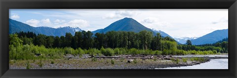 Framed Quinault Rainforest, Olympic National Park, Olympic Peninsula, Washington State Print