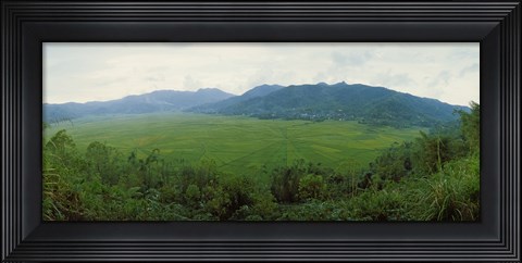 Framed Spider web rice field, Flores Island, Indonesia Print
