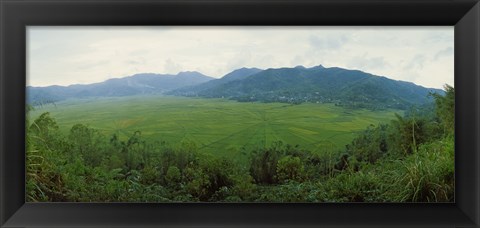 Framed Spider web rice field, Flores Island, Indonesia Print