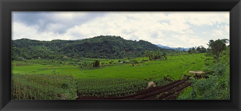 Framed Terraced rice field, Indonesia Print