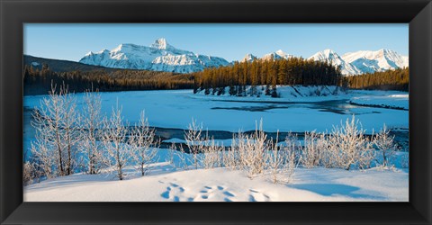 Framed Frozen river with mountain range in the background, Mt Fryatt, Athabaska River, Jasper National Park, Alberta, Canada Print