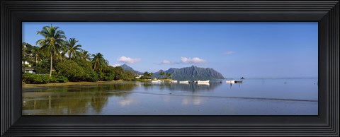 Framed Palm trees at a coast, Kaneohe Bay, Oahu, Hawaii, USA Print