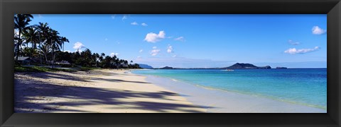 Framed Palm trees on the beach, Lanikai Beach, Oahu, Hawaii, USA Print