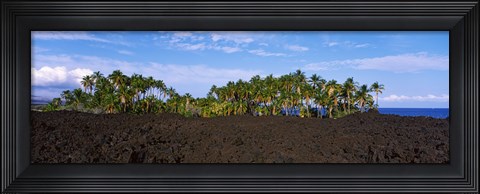 Framed Palm trees on the beach, Keawaiki Bay, Hawaii, USA Print