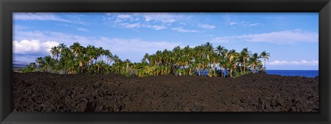 Framed Palm trees on the beach, Keawaiki Bay, Hawaii, USA Print