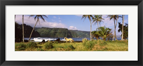 Framed Horse and palm trees on the coast, Hawaii, USA Print