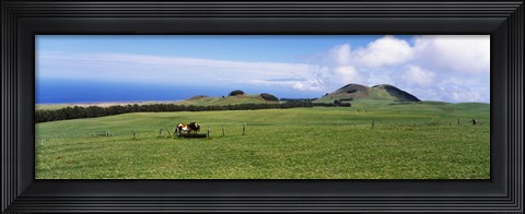 Framed Horses at feeding at trough in a ranch, Hawaii, USA Print