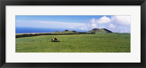Framed Horses at feeding at trough in a ranch, Hawaii, USA Print