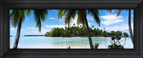 Framed Palm trees on the beach, Rangiroa Atoll, French Polynesia Print