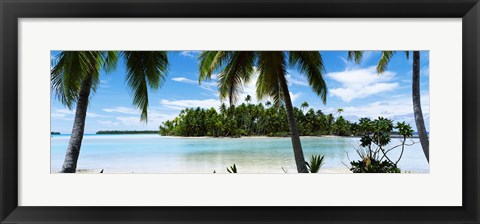 Framed Palm trees on the beach, Rangiroa Atoll, French Polynesia Print