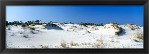 Framed Sand dunes in a desert, St. George Island State Park, Florida Panhandle, Florida, USA Print