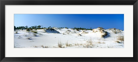 Framed Sand dunes in a desert, St. George Island State Park, Florida Panhandle, Florida, USA Print