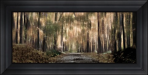 Framed Enchanted forest Print