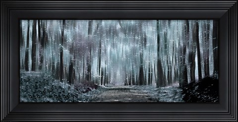 Framed Enchanted forest (black and white) Print