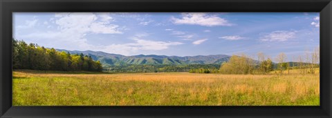 Framed Field with a mountain range in the background, Cades Cove, Great Smoky Mountains National Park, Blount County, Tennessee, USA Print