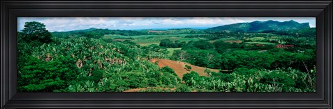 Framed Trees on a hill, Chamarel, Mauritius Island, Mauritius Print