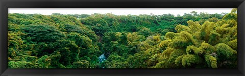 Framed Countryside, Mauritius Island, Mauritius Print