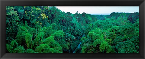 Framed Aerial View of Mauritius Island Print