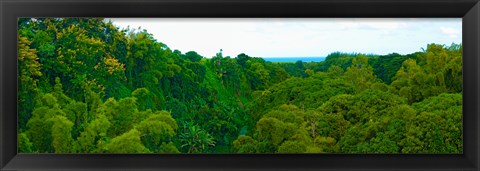 Framed Trees on the bay, Rempart and Mamelles peaks, Tamarin Bay, Mauritius island, Mauritius Print